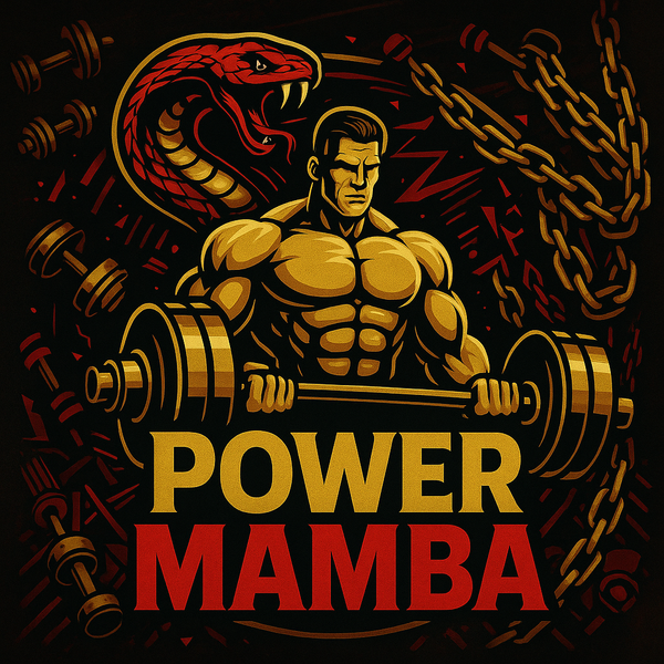 POWER MAMBA